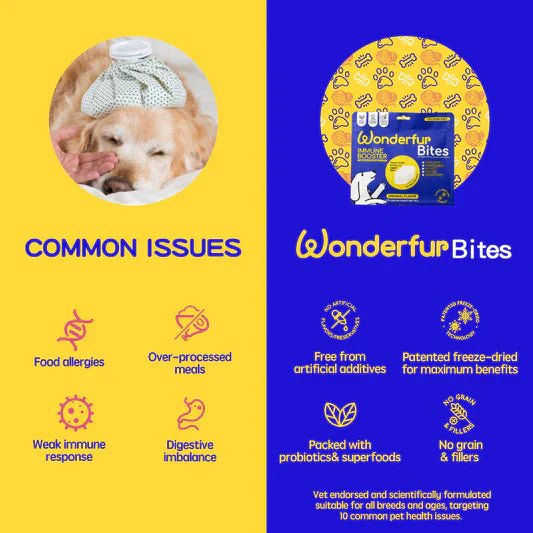 The Wonderfur Company Immune Booster Yogurt Bites for Dogs - CreatureLand