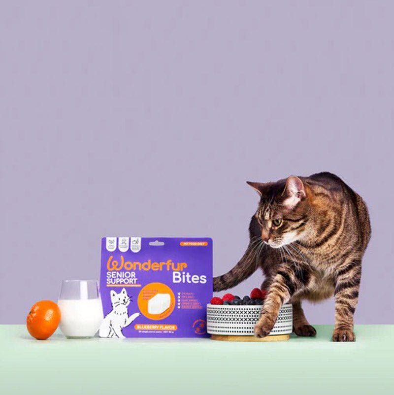 The Wonderfur Company Senior Support Yogurt Bites for Cats - CreatureLand