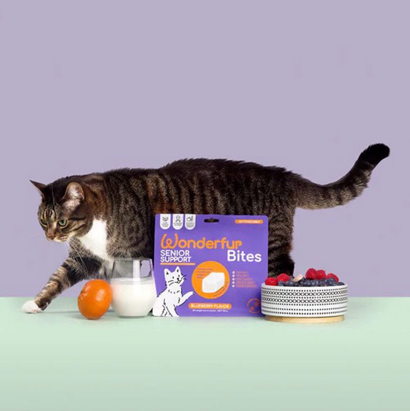 The Wonderfur Company Senior Support Yogurt Bites for Cats - CreatureLand