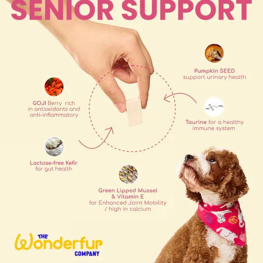 The Wonderfur Company Senior Support Yogurt Bites for Dogs - CreatureLand