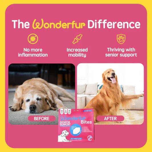 The Wonderfur Company Senior Support Yogurt Bites for Dogs - CreatureLand