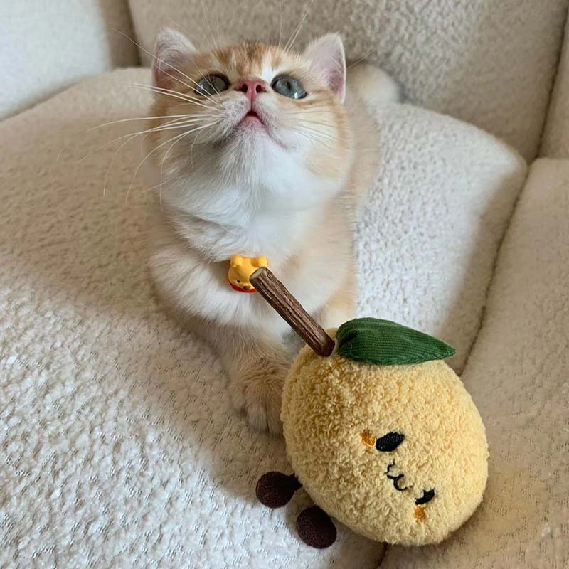 Toocat Fruit and Vegetable Matatabi Cat Toy (3 Designs) - CreatureLand