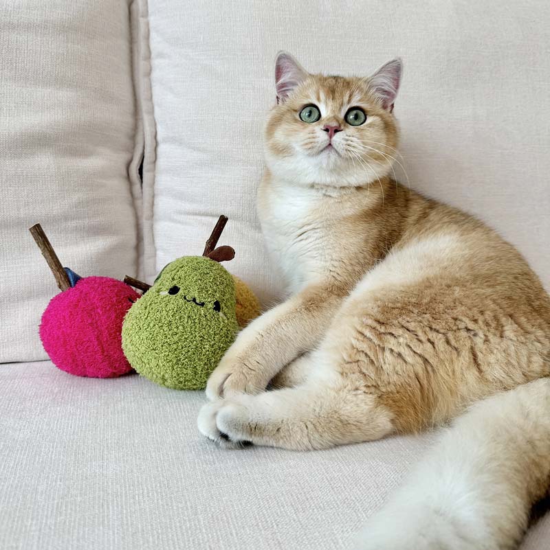 Toocat Fruit and Vegetable Matatabi Cat Toy (3 Designs) - CreatureLand