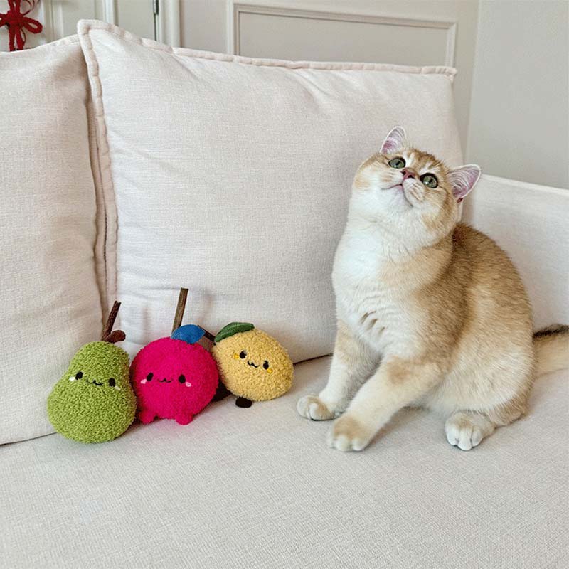 Toocat Fruit and Vegetable Matatabi Cat Toy (3 Designs) - CreatureLand