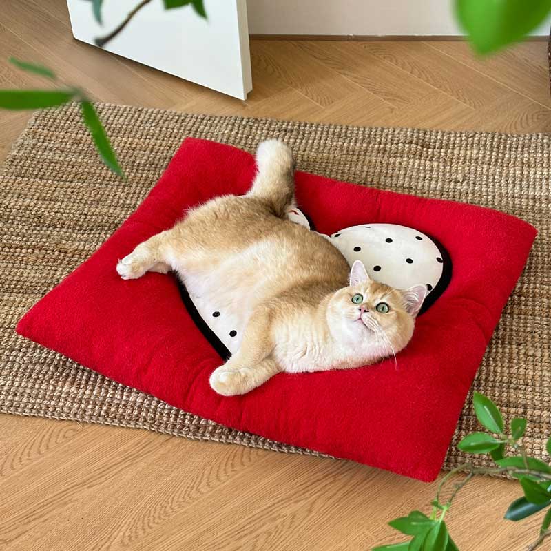 Toocat Love Heart Cushion Mat - CreatureLand