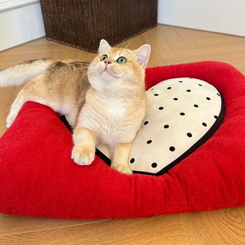 Toocat Love Heart Cushion Mat - CreatureLand