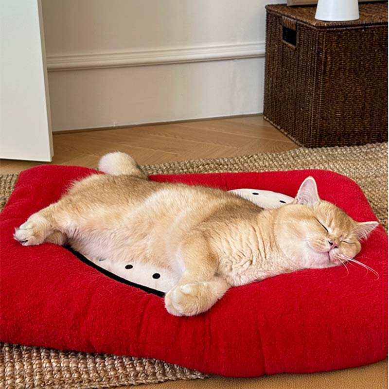 Toocat Love Heart Cushion Mat - CreatureLand