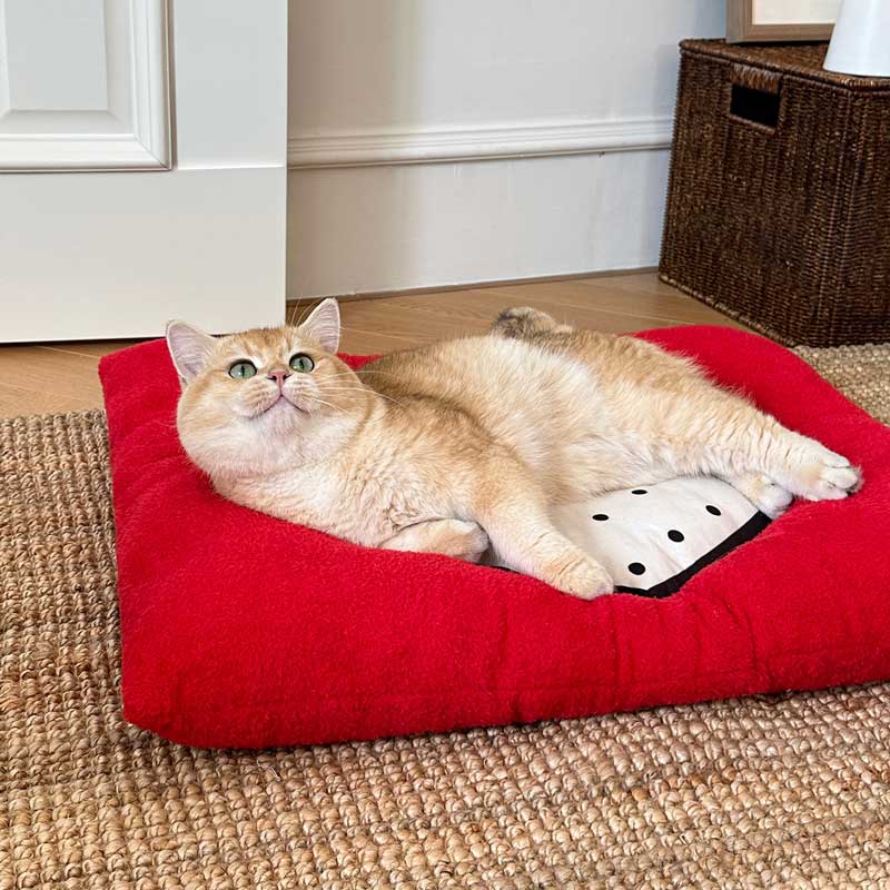 Toocat Love Heart Cushion Mat - CreatureLand