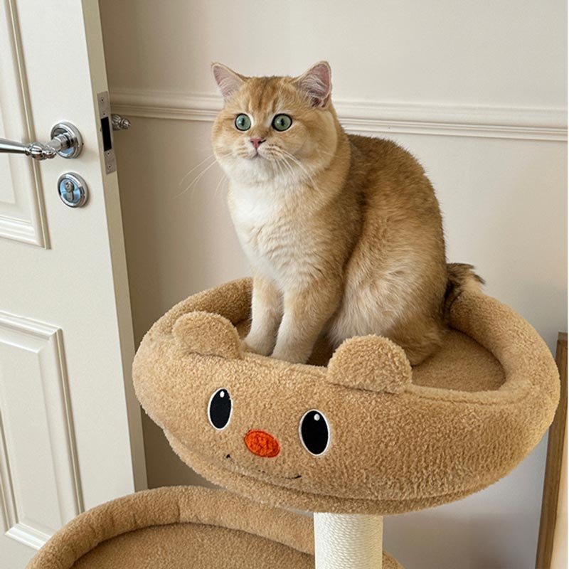 Toocat Toocat x Butterbear Cat Condo - CreatureLand