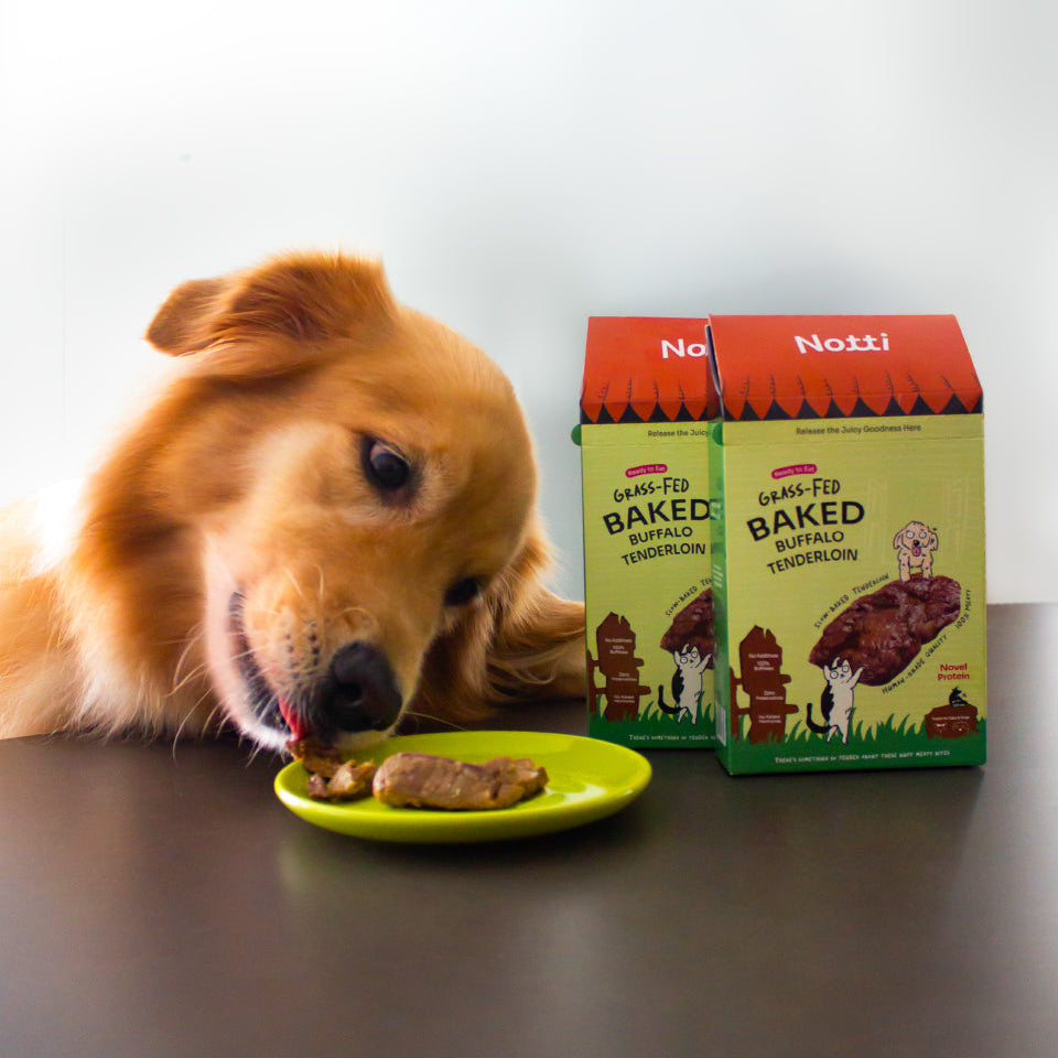 Notti Grass-Fed Baked Buffalo Tenderloin Treats For Dog & Cat (20g x 4)