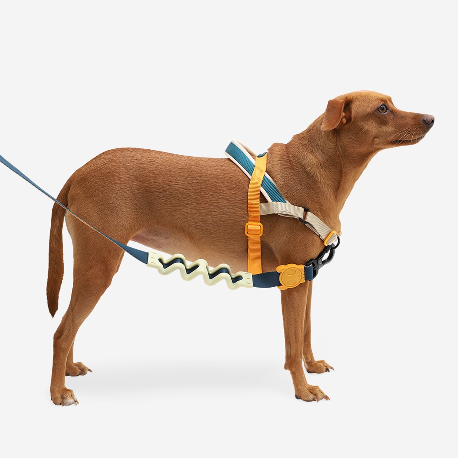 Voyage Softer Walk Harness-2