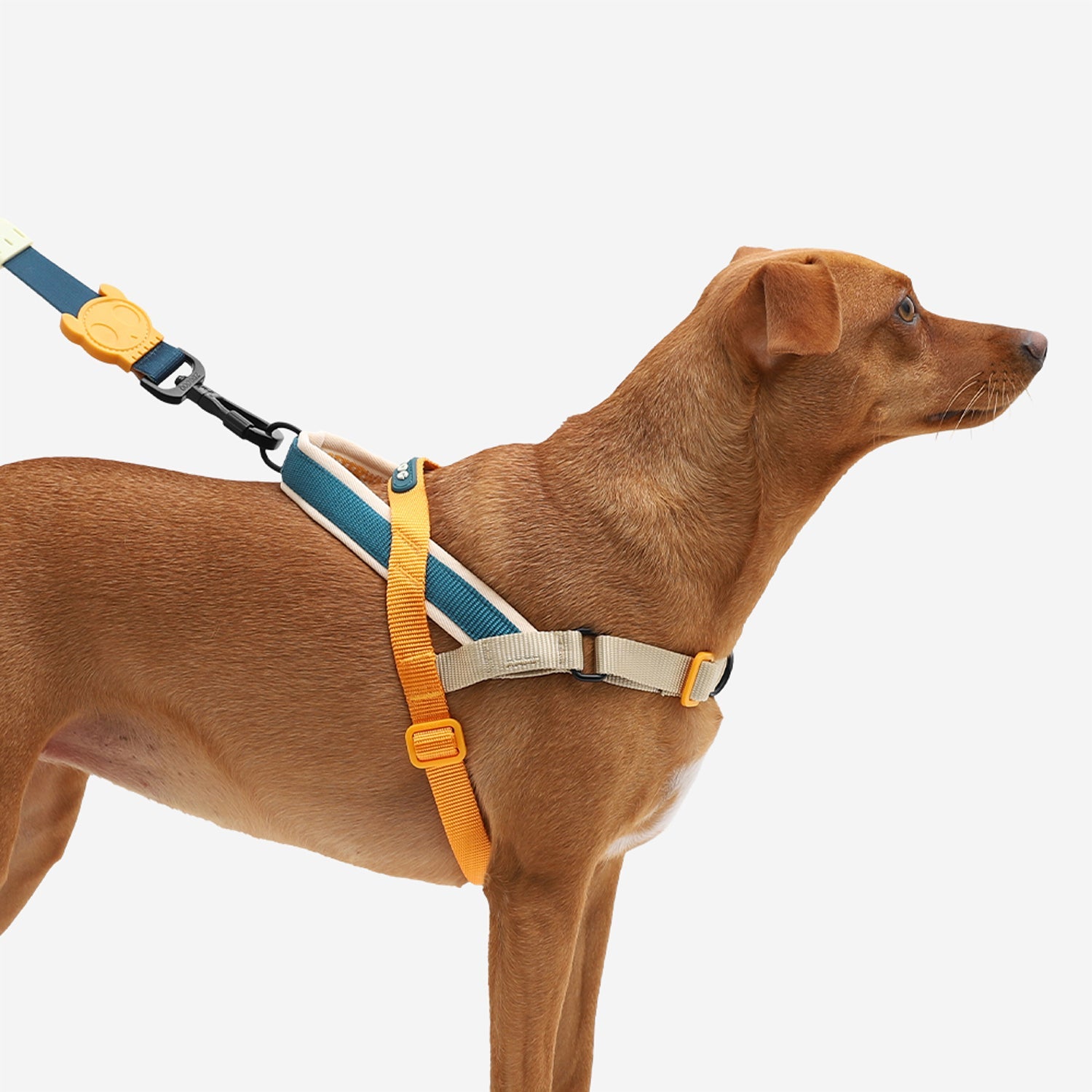 Voyage Softer Walk Harness-3
