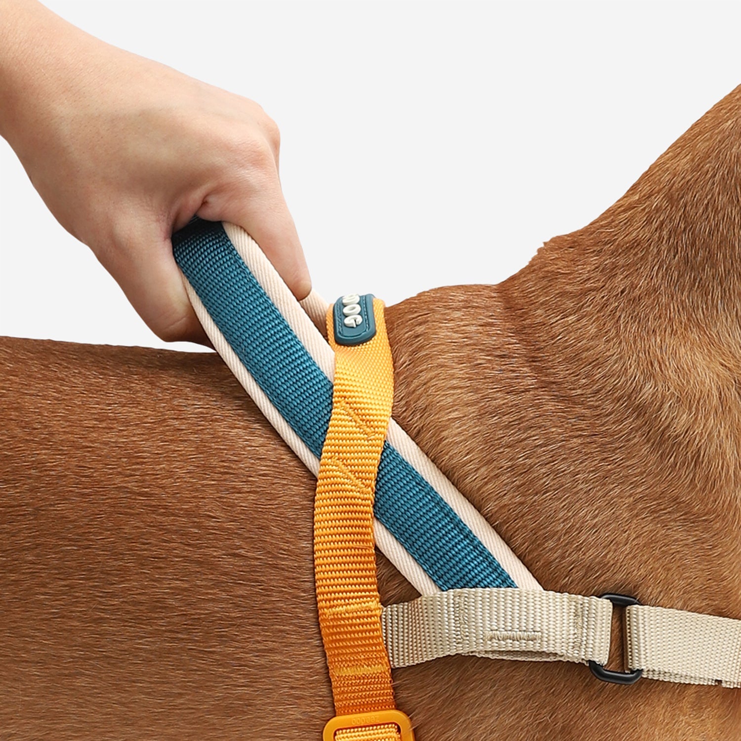 Voyage Softer Walk Harness-4
