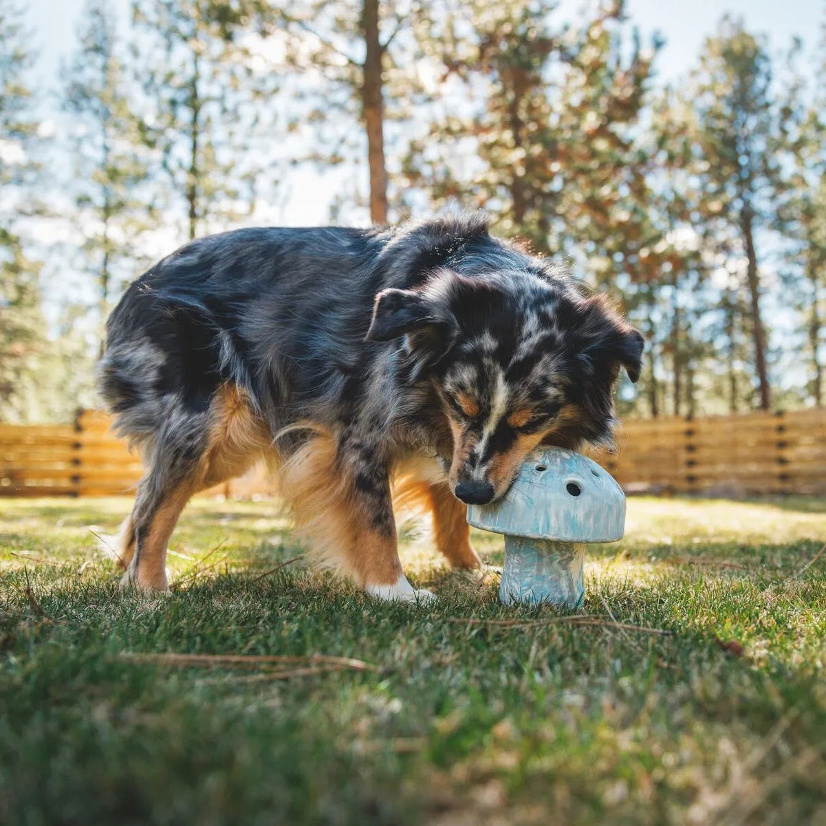 Porcini™ Slow-Feeding Enrichment Dog Toy