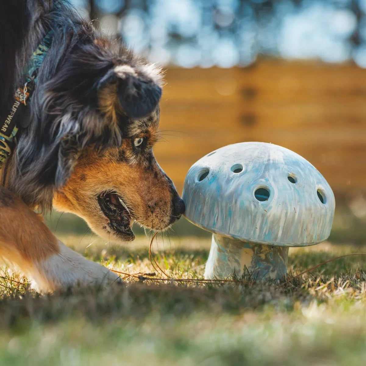 Porcini™ Slow-Feeding Enrichment Dog Toy