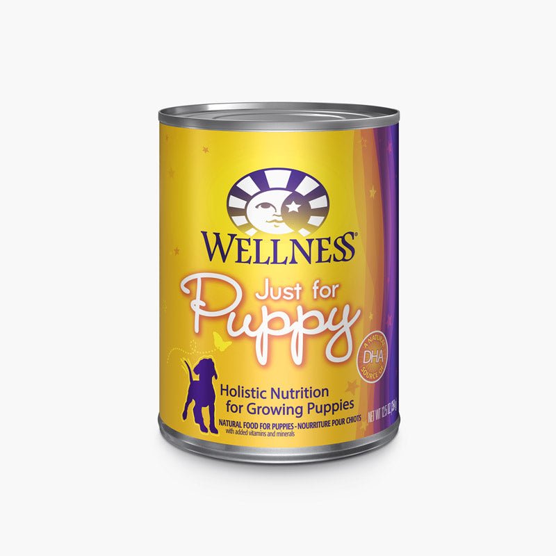 Wellness Complete Health Paté | Puppy Recipe Wet Food (354g) - CreatureLand