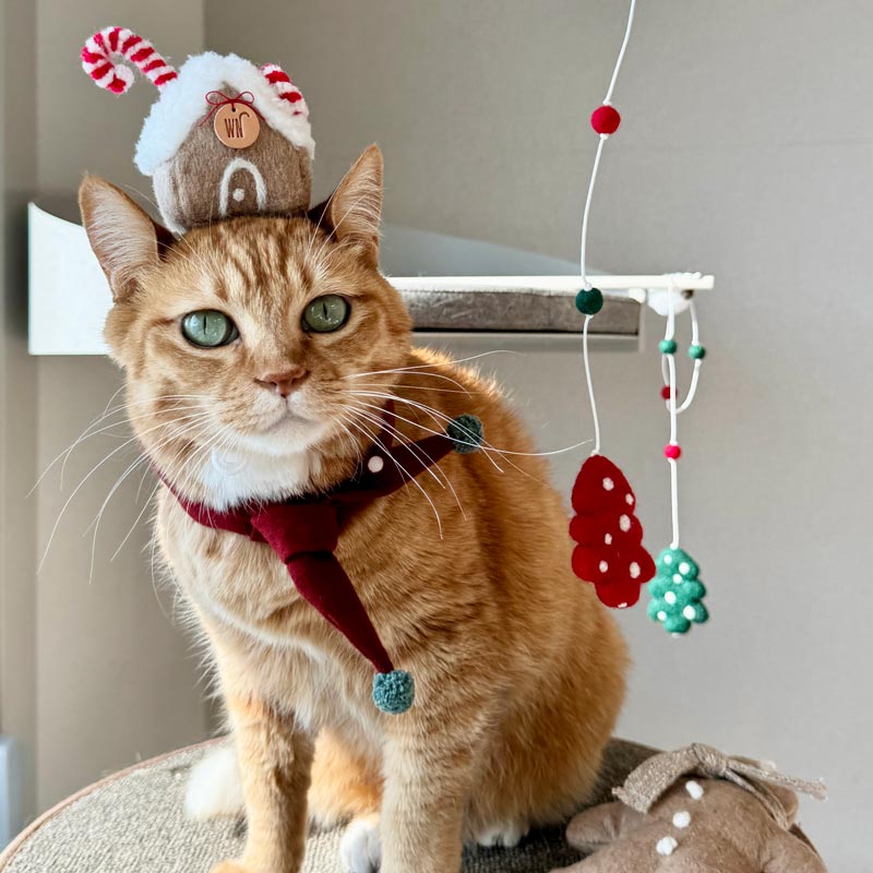 Wetnose Gingerbread House Head Piece - CreatureLand