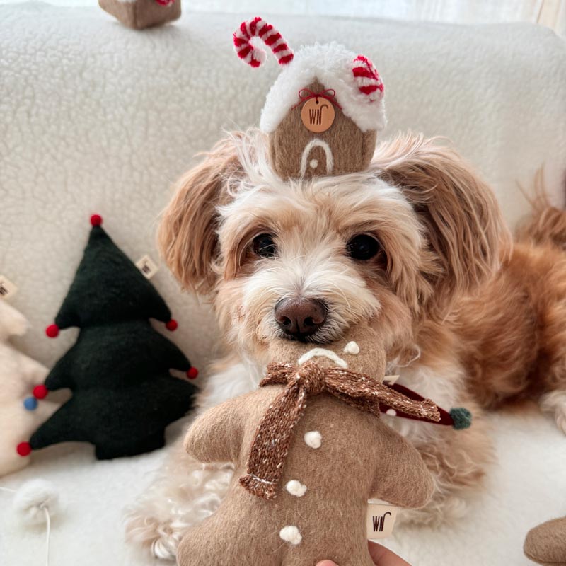 Wetnose Gingerbread House Head Piece - CreatureLand