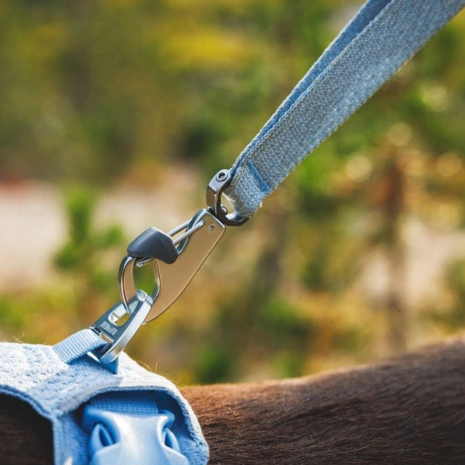 Front Range™ Flex Knit Dog Leash with Traffic Handle (4 Colours)