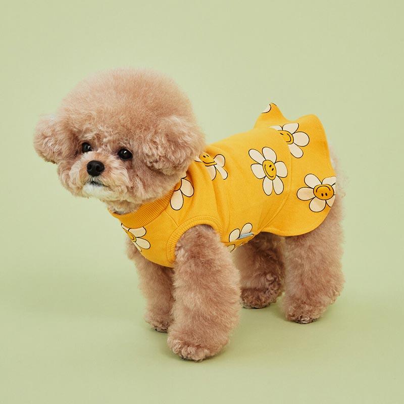 4DOGS Korean Pet Clothing Brand CreatureLand