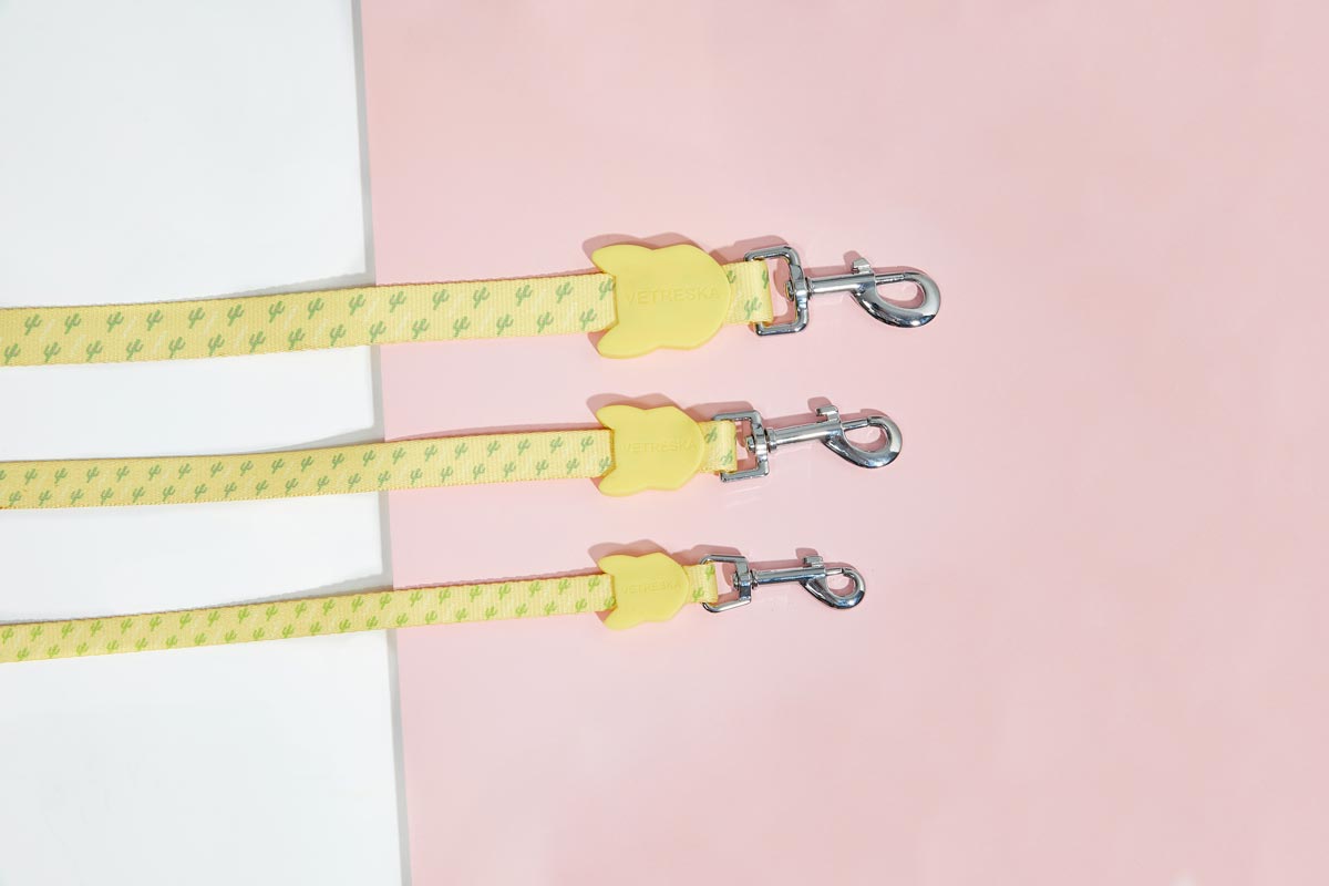 Vetreska Dog Collar and Leash - Yellow Cactus | CreatureLand.