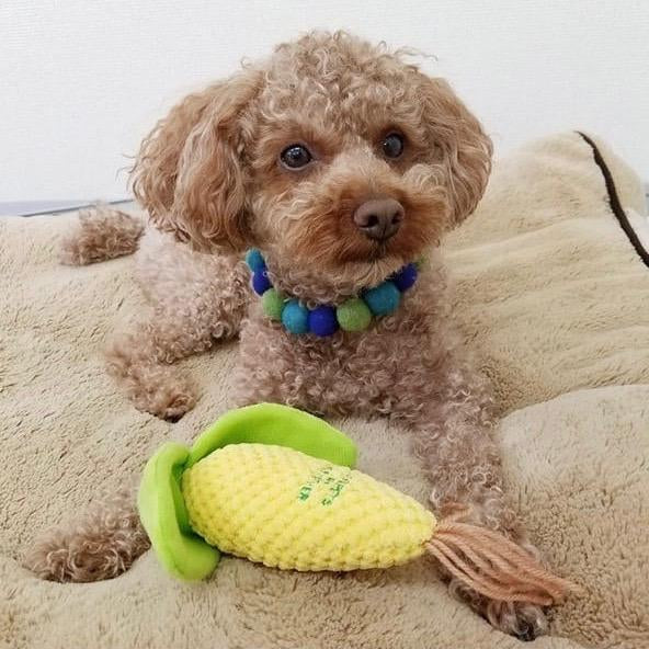 Sweet Corn Dog Toy