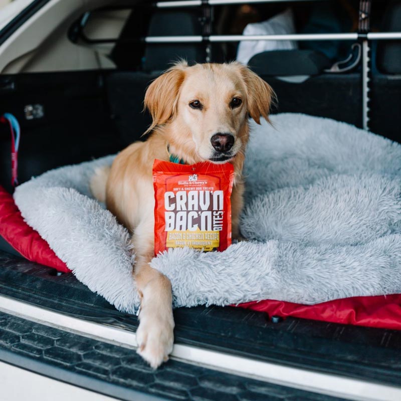 Crav'n Bac'n Bites | Bacon & Chicken Dog Training Treats (8.25oz)