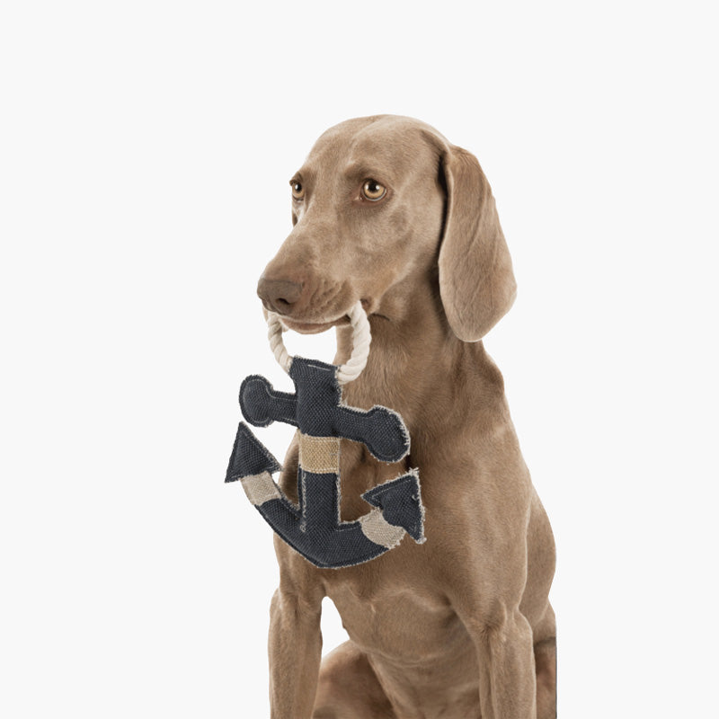 BE NORDIC Anchor Dog Toy