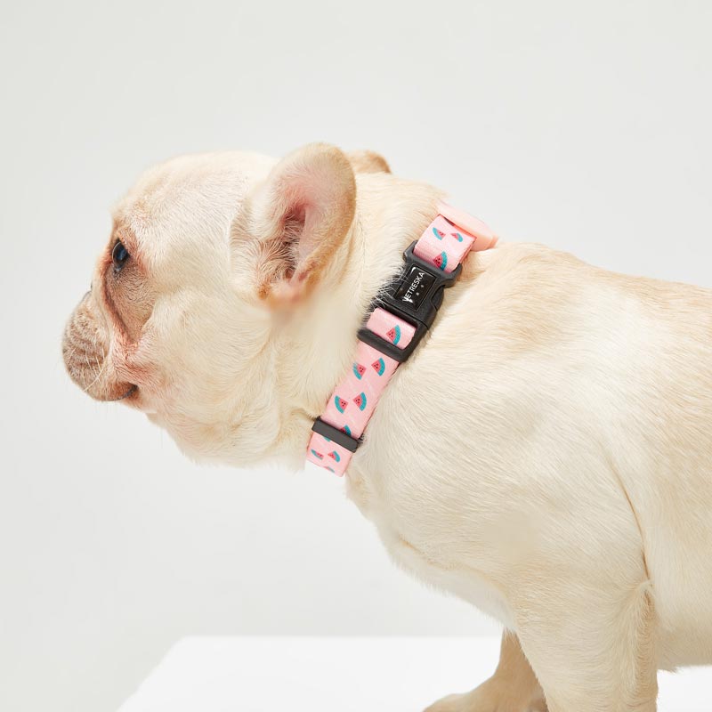 Vetreska Dog Collar and Leash - Pink Watermelon | CreatureLand.
