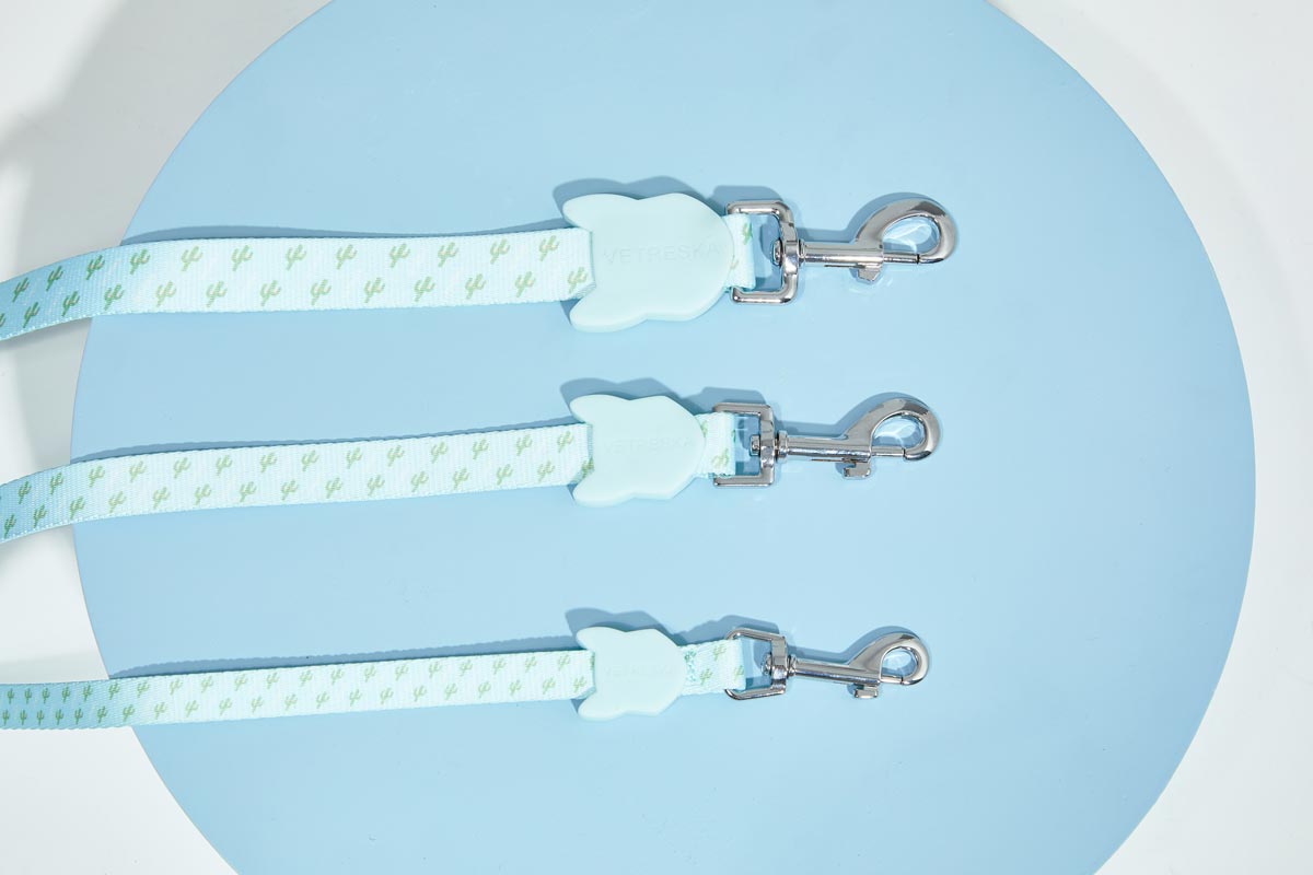 Vetreska Dog Leash - Blue Cactus | CreatureLand.