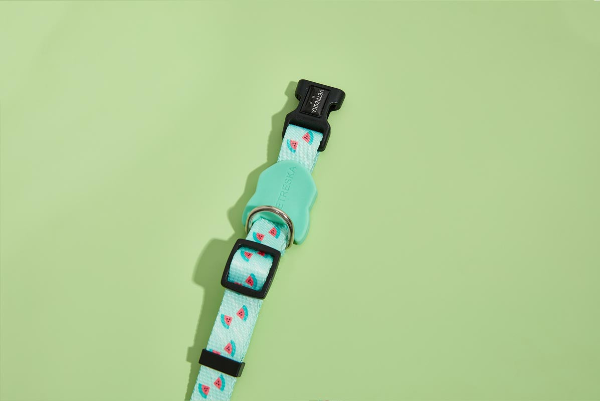 Vetreska Dog Collar and Leash - Green Watermelon | CreatureLand.