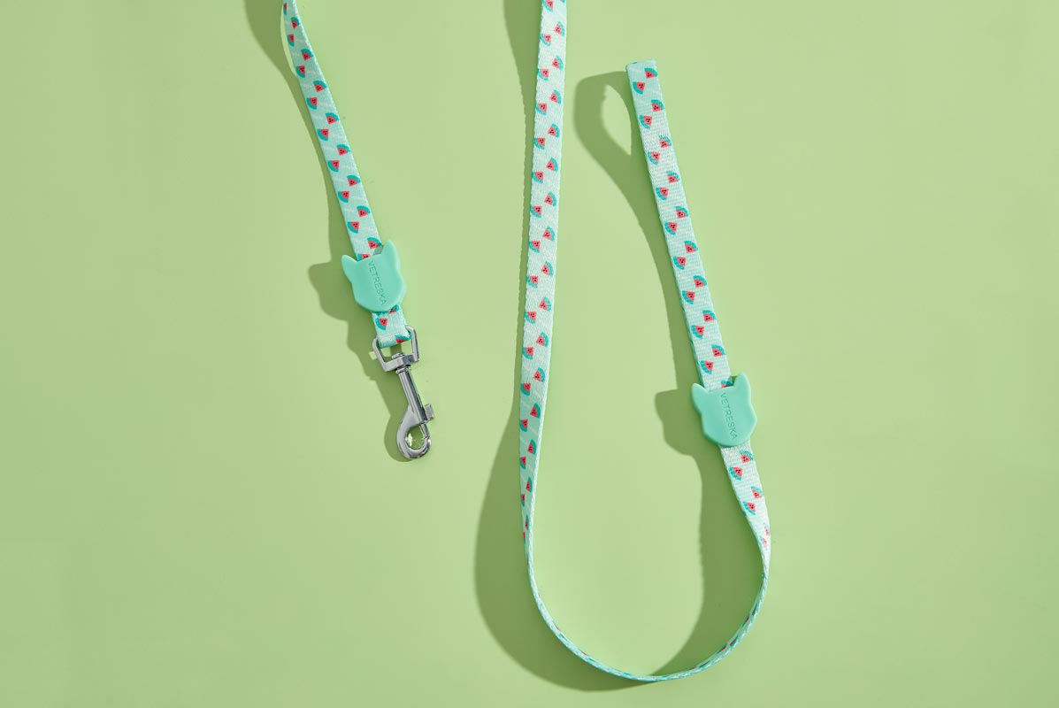 Vetreska Dog Collar and Leash - Green Watermelon | CreatureLand.