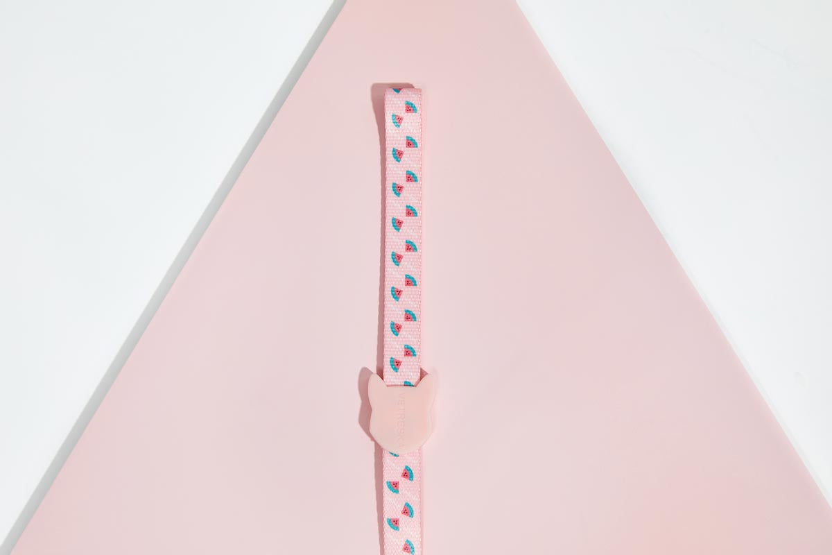 Vetreska Dog Collar and Leash - Pink Watermelon | CreatureLand.