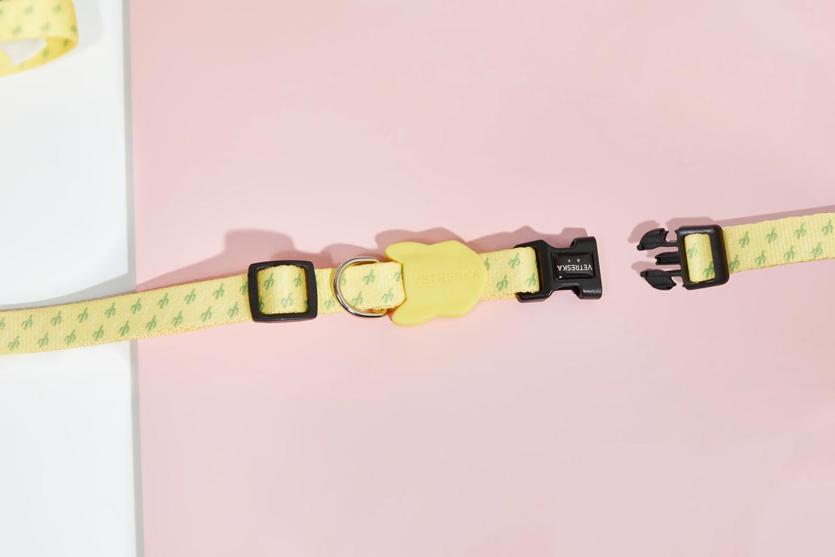 Vetreska Dog Collar and Leash - Yellow Cactus | CreatureLand.