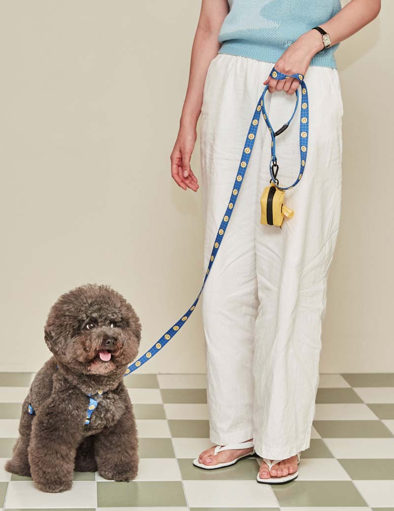 andblank [andblank x Cafe Knotted] Smile Harness - Blue - CreatureLand