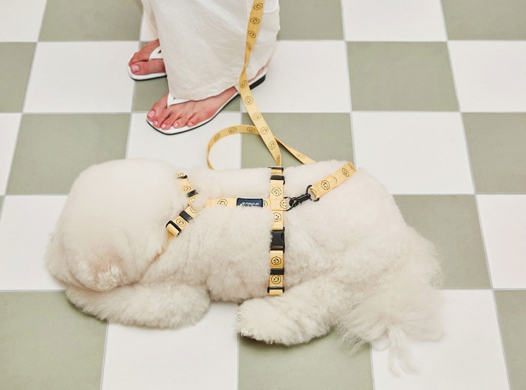 andblank [andblank x Cafe Knotted] Smile Harness: - Yellow - CreatureLand