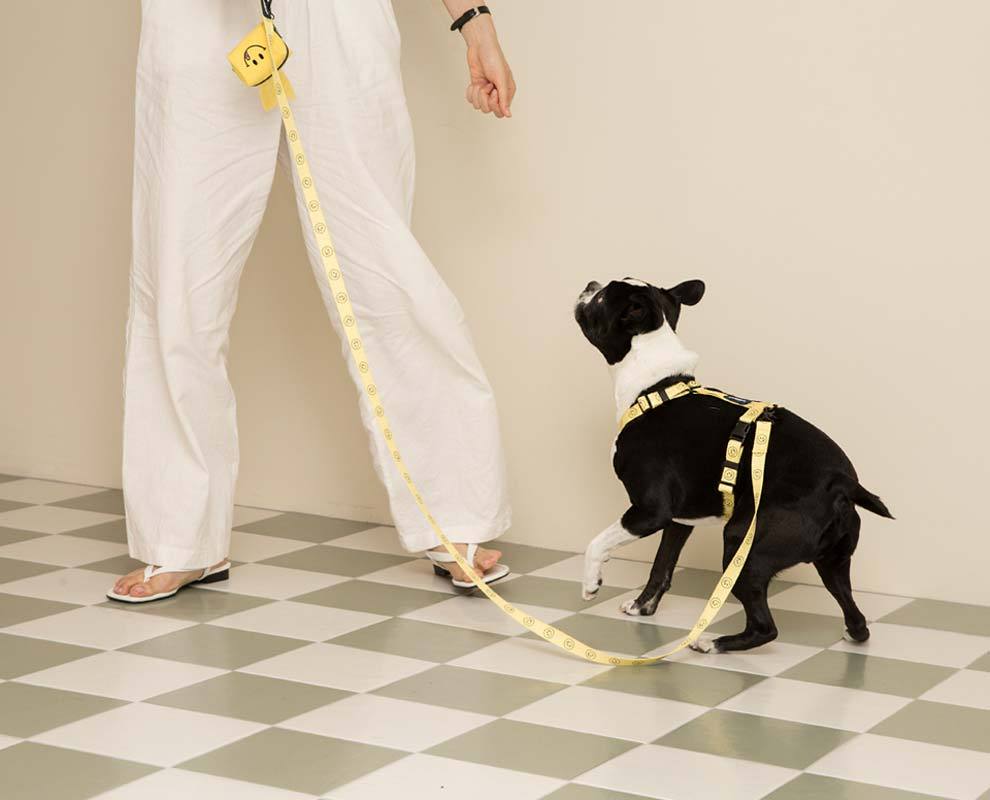 andblank [andblank x Cafe Knotted] Smile Leash - Yellow - CreatureLand