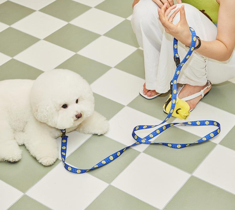 andblank [andblank x Cafe Knotted] Smile Pet Collar - Blue - CreatureLand