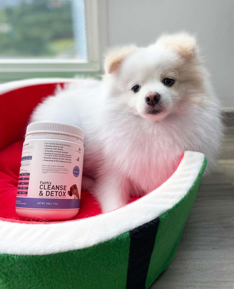 Augustine Approved Faith's Cleanse & Detox For Dogs and Cats - CreatureLand
