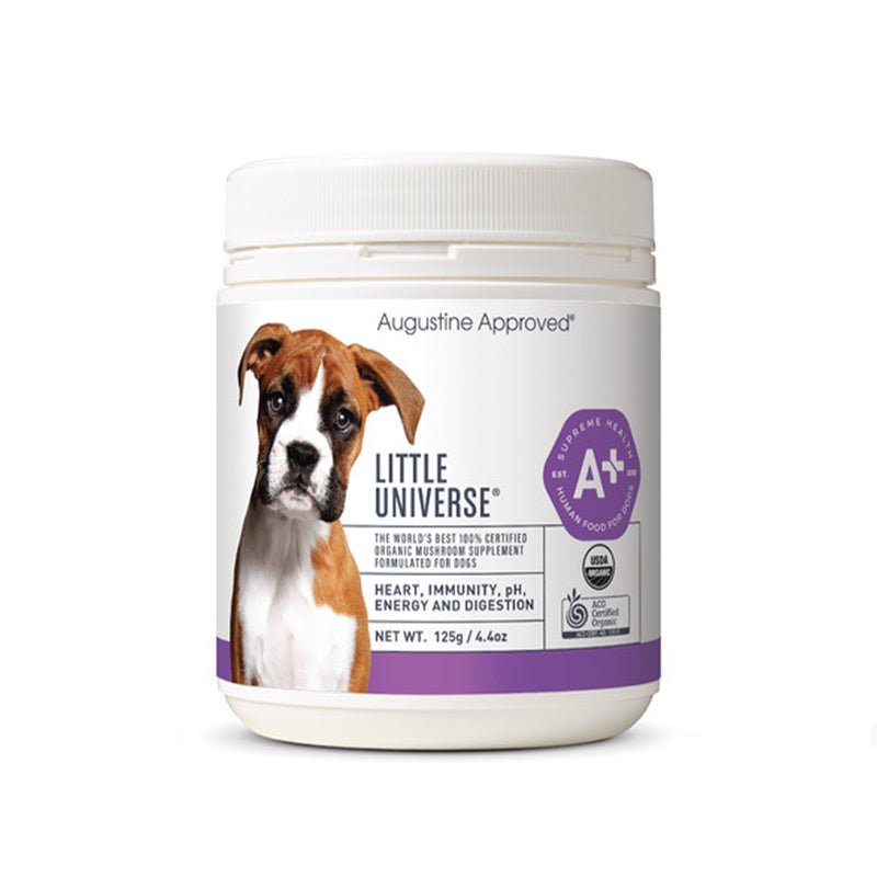 Augustine Approved Little Universe (Organic Mushroom) For Dogs & Cats - CreatureLand