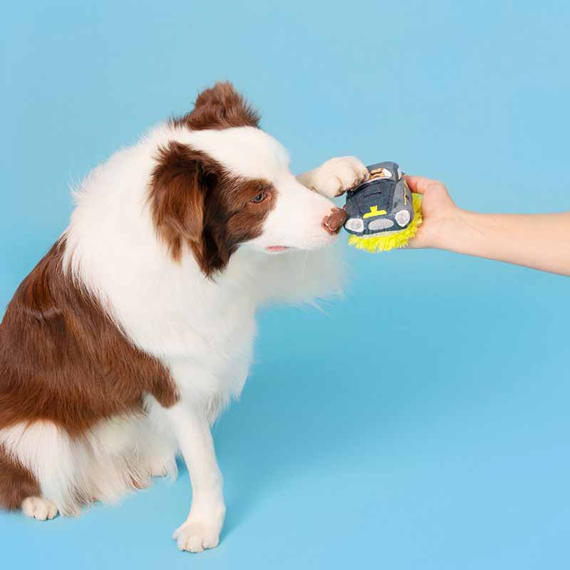 BARK Petaway Car Dog Toy - CreatureLand