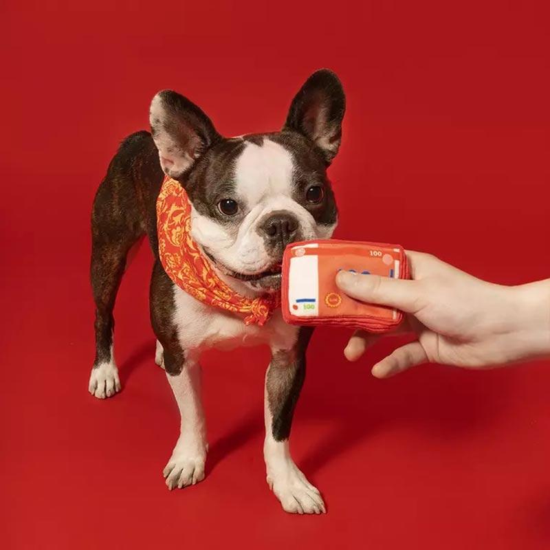BARK Pocket Money Dog Toy with Bandana - CreatureLand