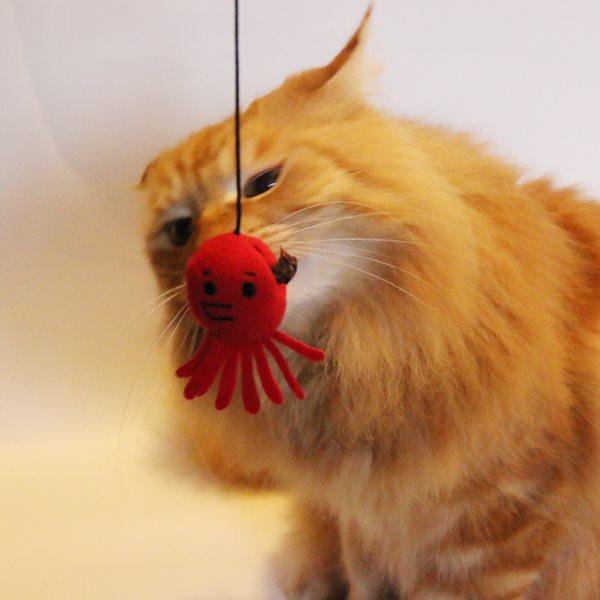 Bestever Octopus Cat Teaser - CreatureLand