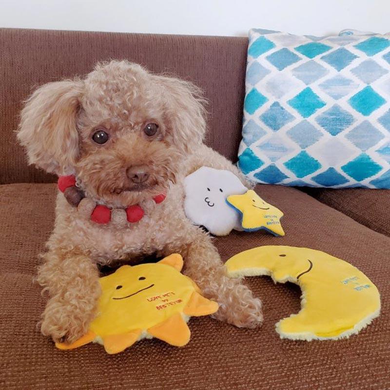 Bestever Sunny Nosework Dog Toy - CreatureLand