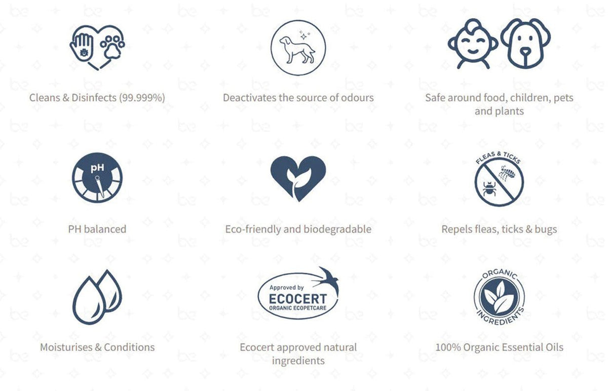 Beyond Clean LUXE RinseFree Paw Cleanser For Dogs & Cats CreatureLand.