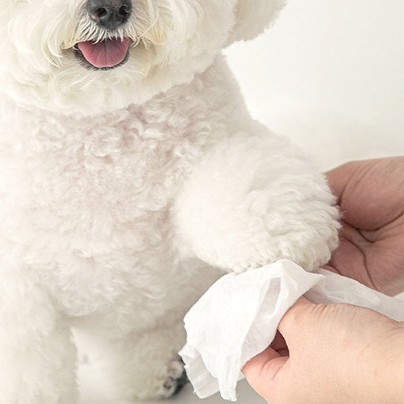 Bite Me Feelsogood Hypoallergenic Pet Tissue | 50 Pieces - CreatureLand