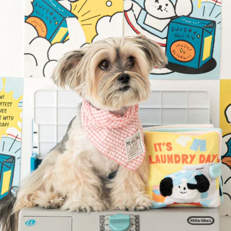 Bite Me — It's Laundry Day Playbook Nose Work Dog Toy