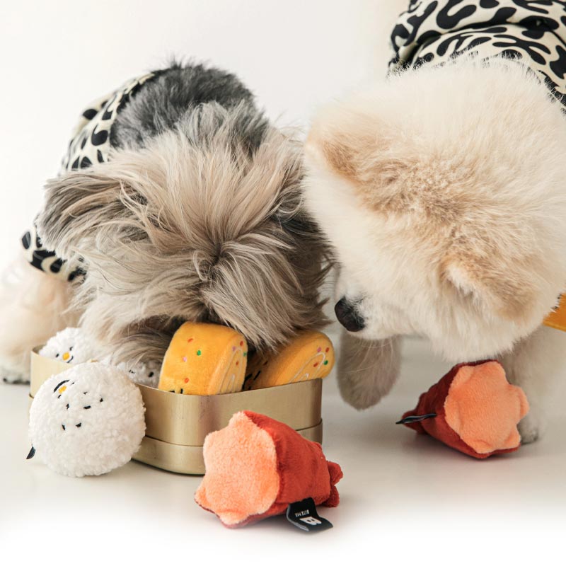 Bite Me Lunch Box Dog Toy Set - CreatureLand