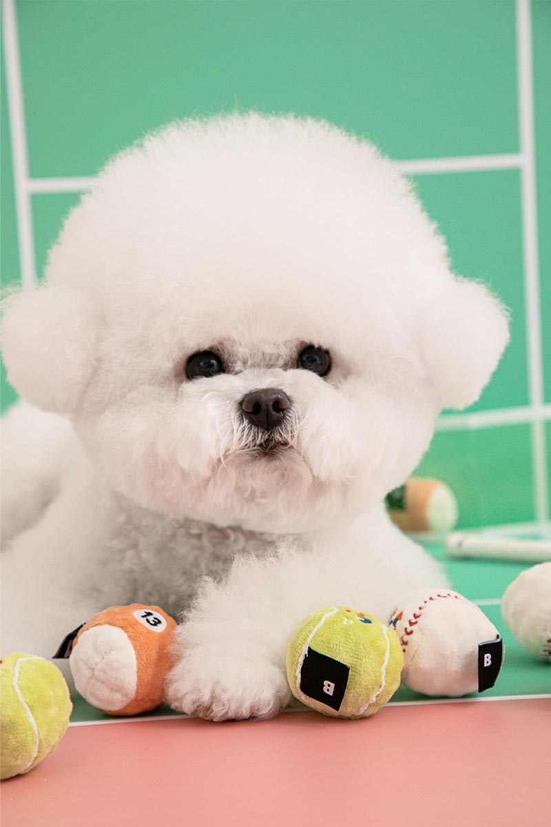 Bite Me Mini Sport Balls Dog Toy (Set of 3) - CreatureLand