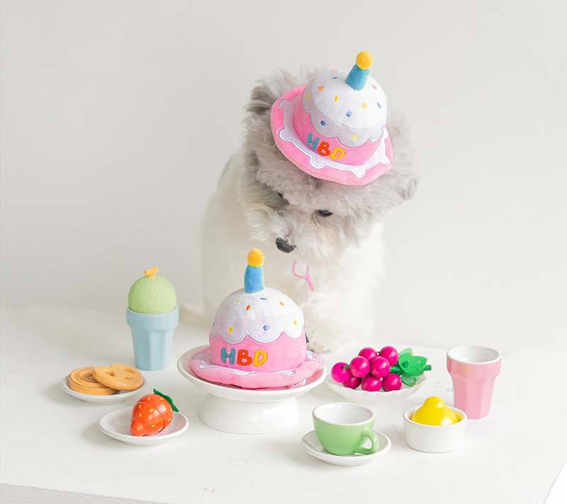 Bite Me Party Hat Plush Dog Toy - CreatureLand